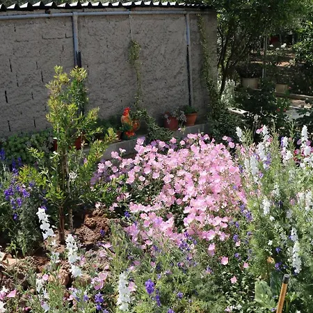 Holiday home Summer Senses Skala Kallirakhis